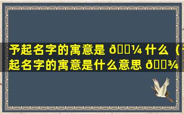 予起名字的寓意是 🐼 什么（予起名字的寓意是什么意思 🌾 ）